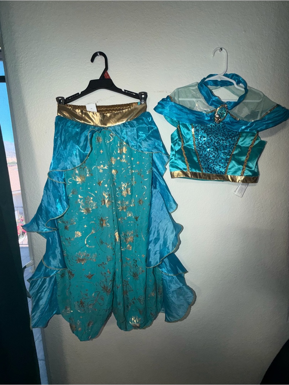 Disney Jazmine costume size 9/10